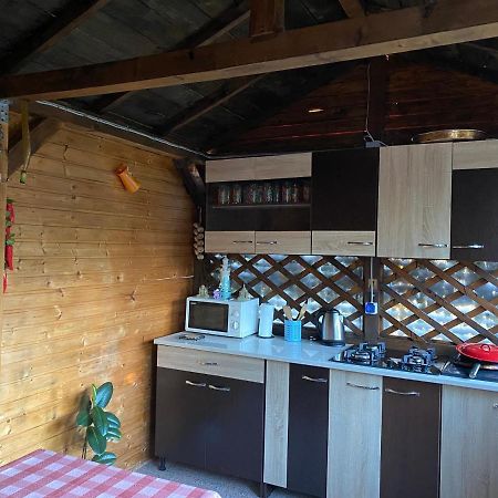 Vila Piscotel Schitu Eksteriør bilde