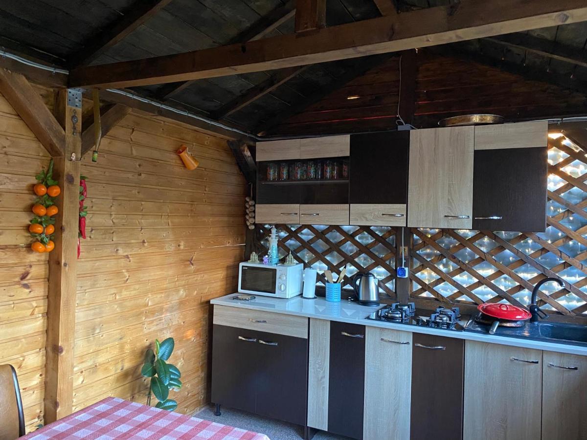 Vila Piscotel Schitu Eksteriør bilde